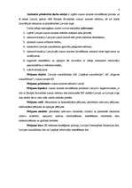 Referāts 'Cukura nozares likvidēšanas trūkumi un priekšrocības Latvijā', 6.