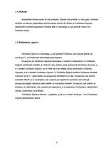 Prakses atskaite 'Akciju sabiedrība „Smiltenes Piens”', 7.