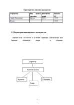 Biznesa plāns 'SIA "x"', 8.