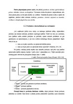 Referāts 'AS "Drogas" produktu raksturojums un to konkurētspējas novērtējums', 8.