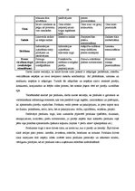 Referāts 'AS "Drogas" produktu raksturojums un to konkurētspējas novērtējums', 19.