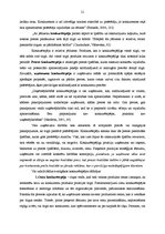 Referāts 'AS "Drogas" produktu raksturojums un to konkurētspējas novērtējums', 21.