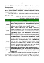 Referāts 'AS "Drogas" produktu raksturojums un to konkurētspējas novērtējums', 31.