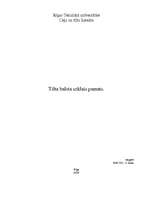 Konspekts 'Tilta balsta seklais pamats', 1.