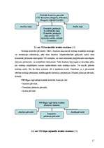 Diplomdarbs 'Nodokļu audits', 17.