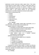 Diplomdarbs 'Nodokļu audits', 30.