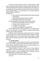 Diplomdarbs 'Nodokļu audits', 31.