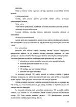 Diplomdarbs 'Nodokļu audits', 33.