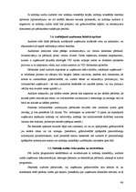 Diplomdarbs 'Nodokļu audits', 46.