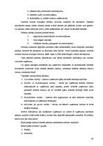 Diplomdarbs 'Nodokļu audits', 48.