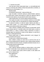 Diplomdarbs 'Nodokļu audits', 49.