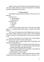 Diplomdarbs 'Nodokļu audits', 51.