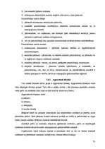 Diplomdarbs 'Nodokļu audits', 53.