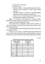 Diplomdarbs 'Nodokļu audits', 54.