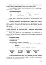 Diplomdarbs 'Nodokļu audits', 55.