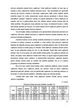 Diplomdarbs 'Nodokļu audits', 95.