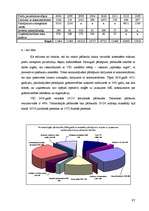 Diplomdarbs 'Nodokļu audits', 97.