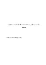 Referāts 'Reklāma un autortiesības. Likumdošana, gadījumu analīze', 1.