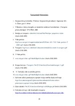 Referāts 'Starptautisko pārvadājumu ietekme uz vidi', 25.