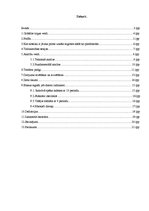 Referāts 'Valūtas tirgus jeb ForEx', 1.