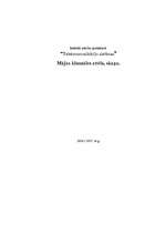 Referāts 'Mājas kinozāles attēls, skaņa', 1.