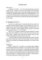 Referāts 'Mājas kinozāles attēls, skaņa', 6.