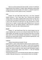 Referāts 'Mājas kinozāles attēls, skaņa', 10.