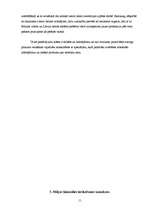 Referāts 'Mājas kinozāles attēls, skaņa', 11.