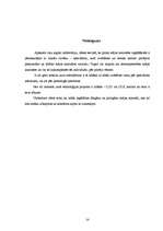 Referāts 'Mājas kinozāles attēls, skaņa', 14.