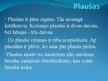 Prezentācija 'Plaušu dzīvības tipums', 3.