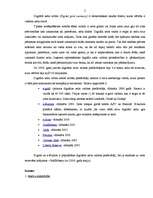 Referāts 'Digitālā zelta valūta', 2.