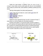 Referāts 'Digitālā zelta valūta', 5.