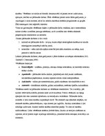 Referāts 'Vērtēšana mācību procesā', 4.