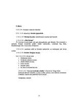 Referāts 'Tūrisma maršruta izstrāde "Amsterdama - Brisele - Rīga"', 16.