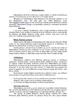 Prezentācija 'Nebukadnecars', 1.