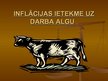 Prezentācija 'Inflācijas ietekme uz darba algu', 2.
