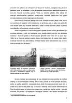 Referāts 'Ekoloģiskie tilti (dzīvnieku pārejas)', 6.