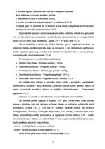 Diplomdarbs 'Līvānu Stikla fabrika', 13.