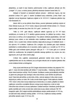 Diplomdarbs 'Līvānu Stikla fabrika', 43.