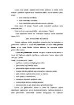 Referāts 'SIA darbību reglamentējošā tiesiskā bāze', 6.