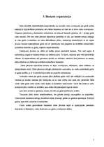 Referāts 'Kāzu mielasts', 5.