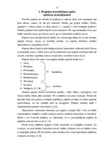 Referāts 'Projekta izstrādāšanas gaita uzņēmuma kultūras menedžmentā', 3.