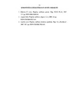 Referāts 'Projekta izstrādāšanas gaita uzņēmuma kultūras menedžmentā', 12.