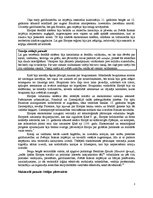 Referāts 'Konspektēts grāmatas "Introduction to Global Politics" tulkojums', 3.