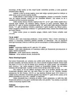 Referāts 'Konspektēts grāmatas "Introduction to Global Politics" tulkojums', 15.