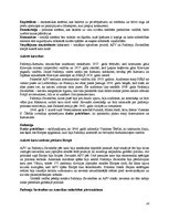 Referāts 'Konspektēts grāmatas "Introduction to Global Politics" tulkojums', 28.