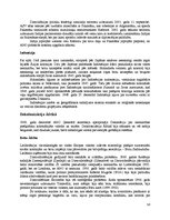 Referāts 'Konspektēts grāmatas "Introduction to Global Politics" tulkojums', 58.