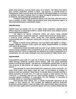 Referāts 'Konspektēts grāmatas "Introduction to Global Politics" tulkojums', 61.