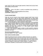 Referāts 'Konspektēts grāmatas "Introduction to Global Politics" tulkojums', 62.