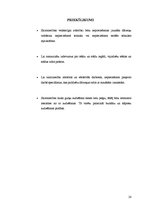 Biznesa plāns 'Saimniecības dārzeņu audzēšanas plāns', 28.